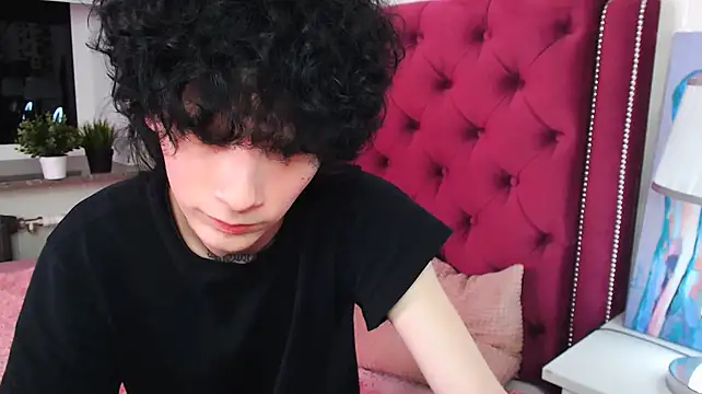 Show modela metlVV na web-kameri