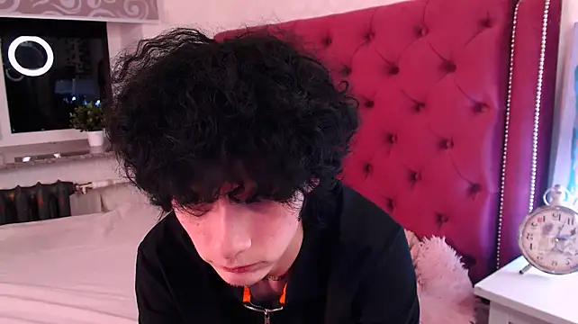 Show webcam de metlVV