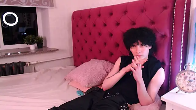 Show modela metlVV na web-kameri