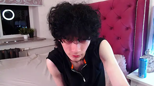 Show webcam de metlVV