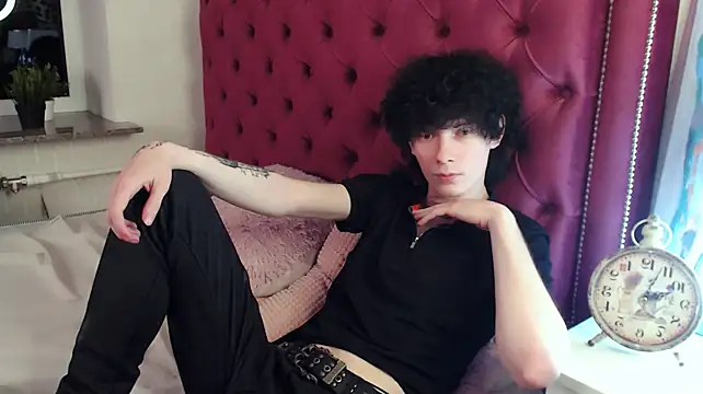 Show Webcam de metlVV