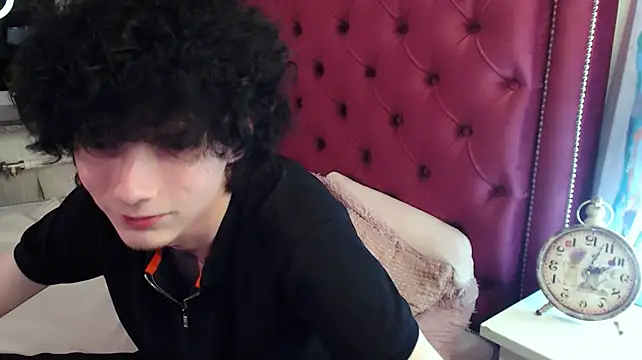 metlVV Show in webcam