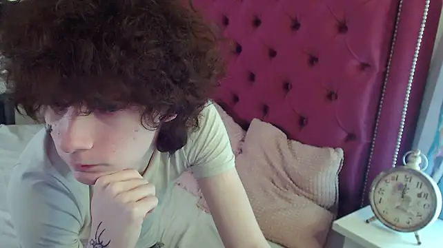 metlVV Webcam-Show