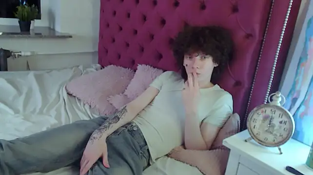 metlVV Webcam-Show