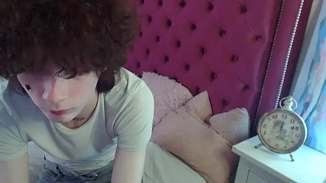 metlVV Show in webcam