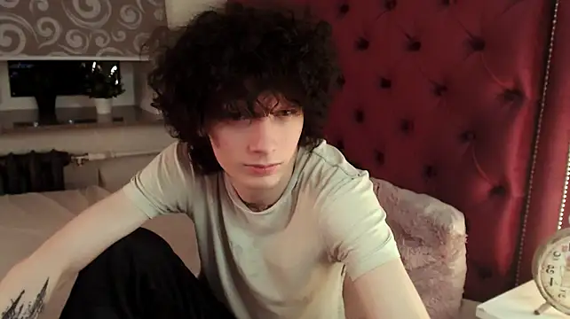 metlVV Webcam-Show