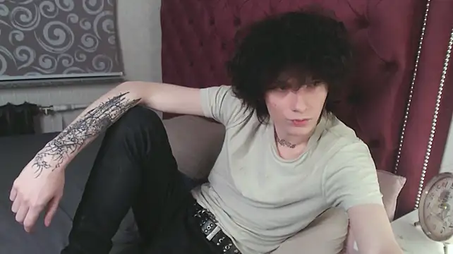 metlVV Webcam show
