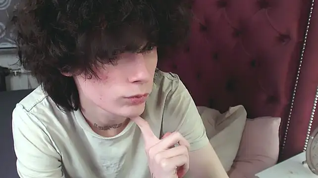 Show Webcam de metlVV
