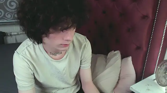 Show webcam de metlVV