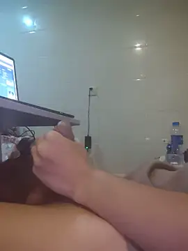 zwc Show Webcam
