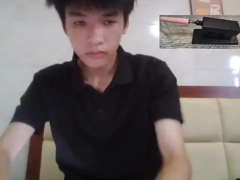 zwc 网络视讯表演