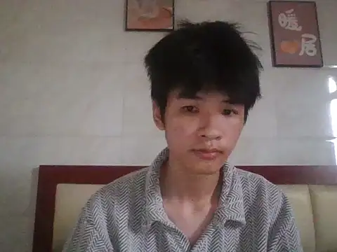 zwc Show Webcam