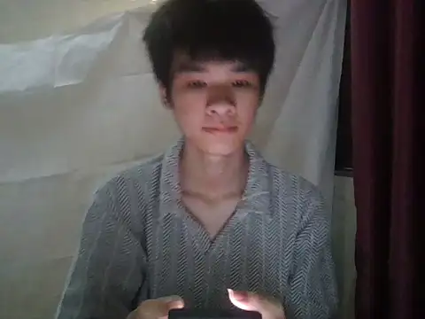 zwc Show Webcam