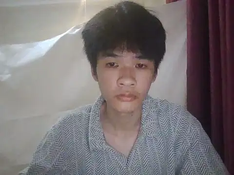 zwc Show Webcam