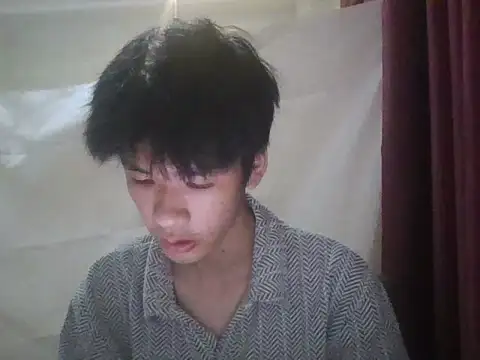 zwc 网络视讯表演