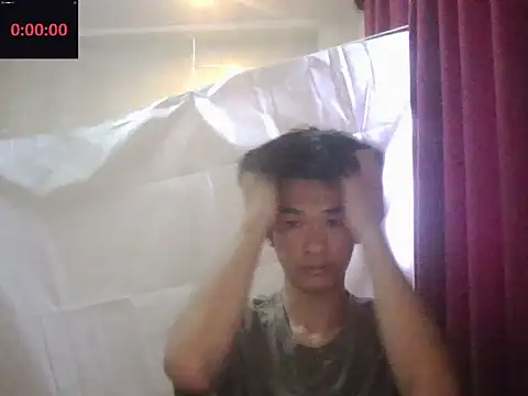zwc Show Webcam