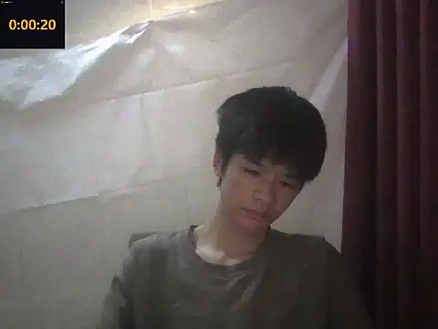 zwc Show Webcam