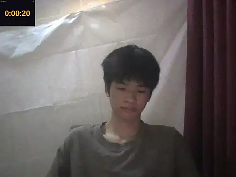 zwc Show Webcam