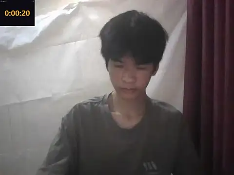 โชว์เว็บแคมของ zwc