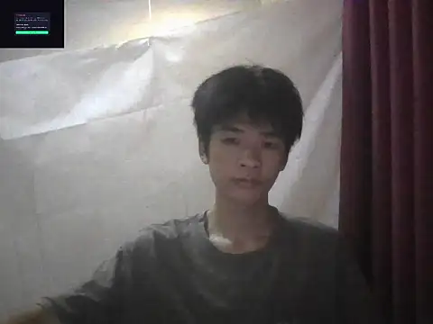 zwc Pertunjukan Webcam