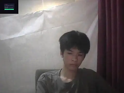 โชว์เว็บแคมของ zwc