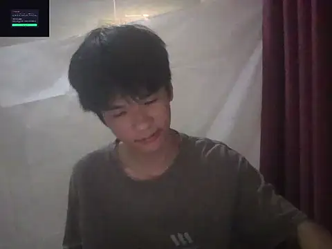 zwc Pertunjukan Webcam