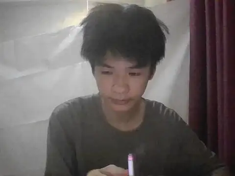 zwc Show Webcam