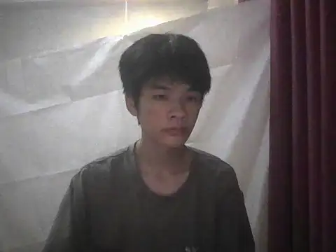 Show webcam de zwc
