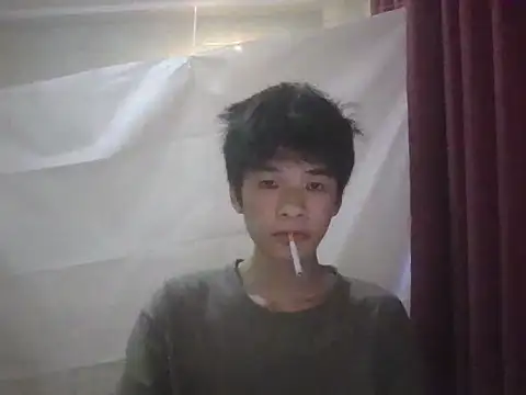 zwc Show Webcam
