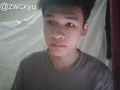 zwc's Webcam Show