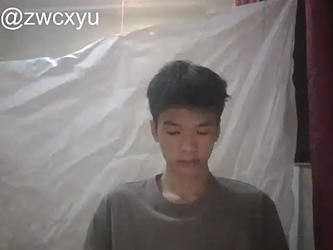 zwcn Webbikameraesitys