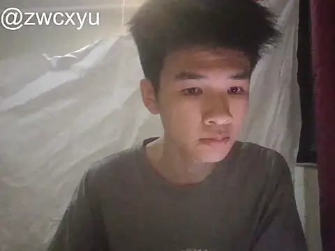 zwc Show Webcam
