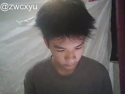 zwc 网络视讯表演