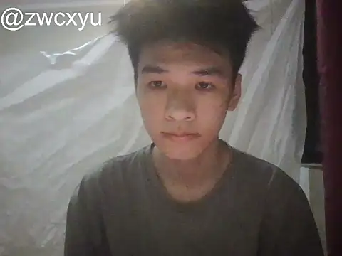 zwc's Webcam Show