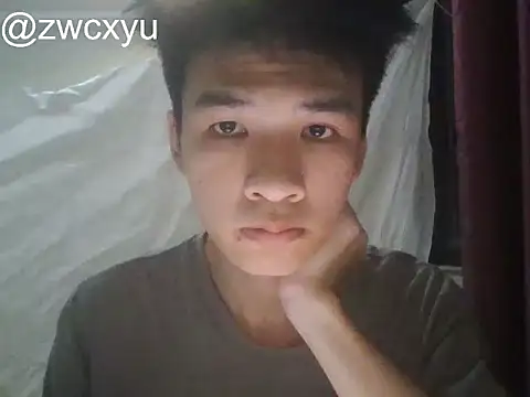 Show Webcam de zwc