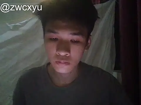 zwc 网络视讯表演
