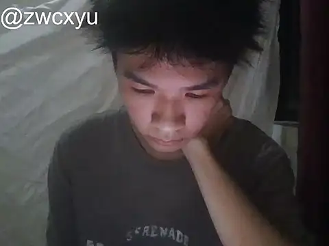 zwc 网络视讯表演