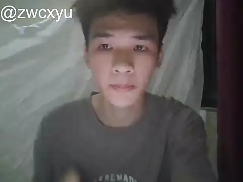zwc Show Webcam