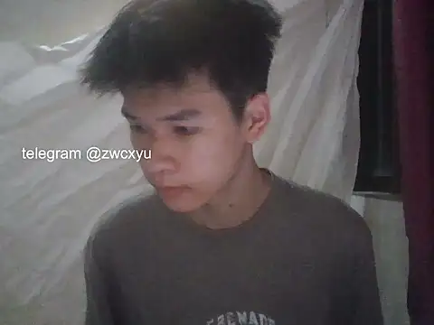 zwc Show Webcam