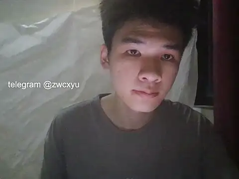 zwc 웹캠 쇼
