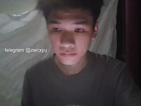 zwc 网络视讯表演
