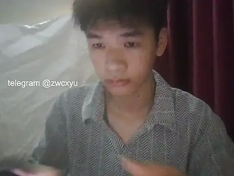zwc 网络视讯表演