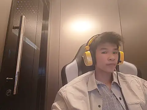 zwc Show Webcam