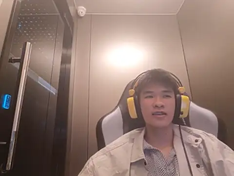 zwc Show Webcam
