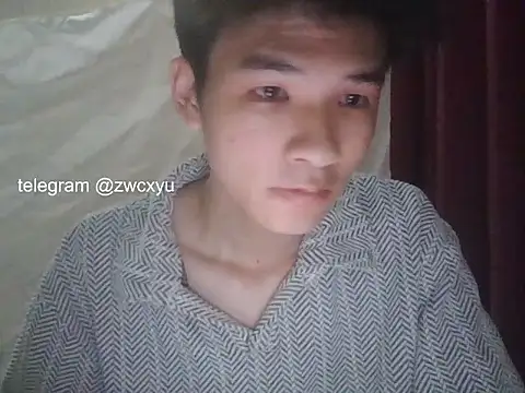zwc's Webcam Show