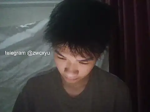 โชว์เว็บแคมของ zwc