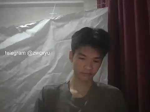 zwc 网络视讯表演
