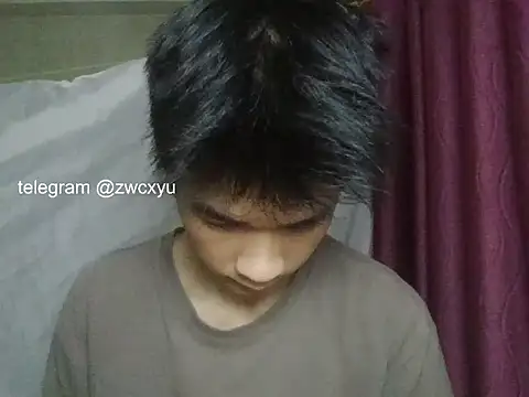 zwc 웹캠 쇼