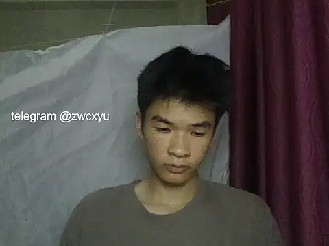 zwc Pertunjukan Webcam