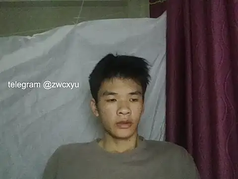 zwc Show Webcam